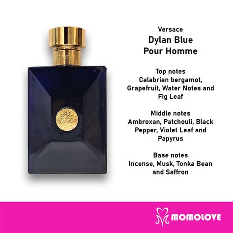 Versace Dylan Blue scent notes